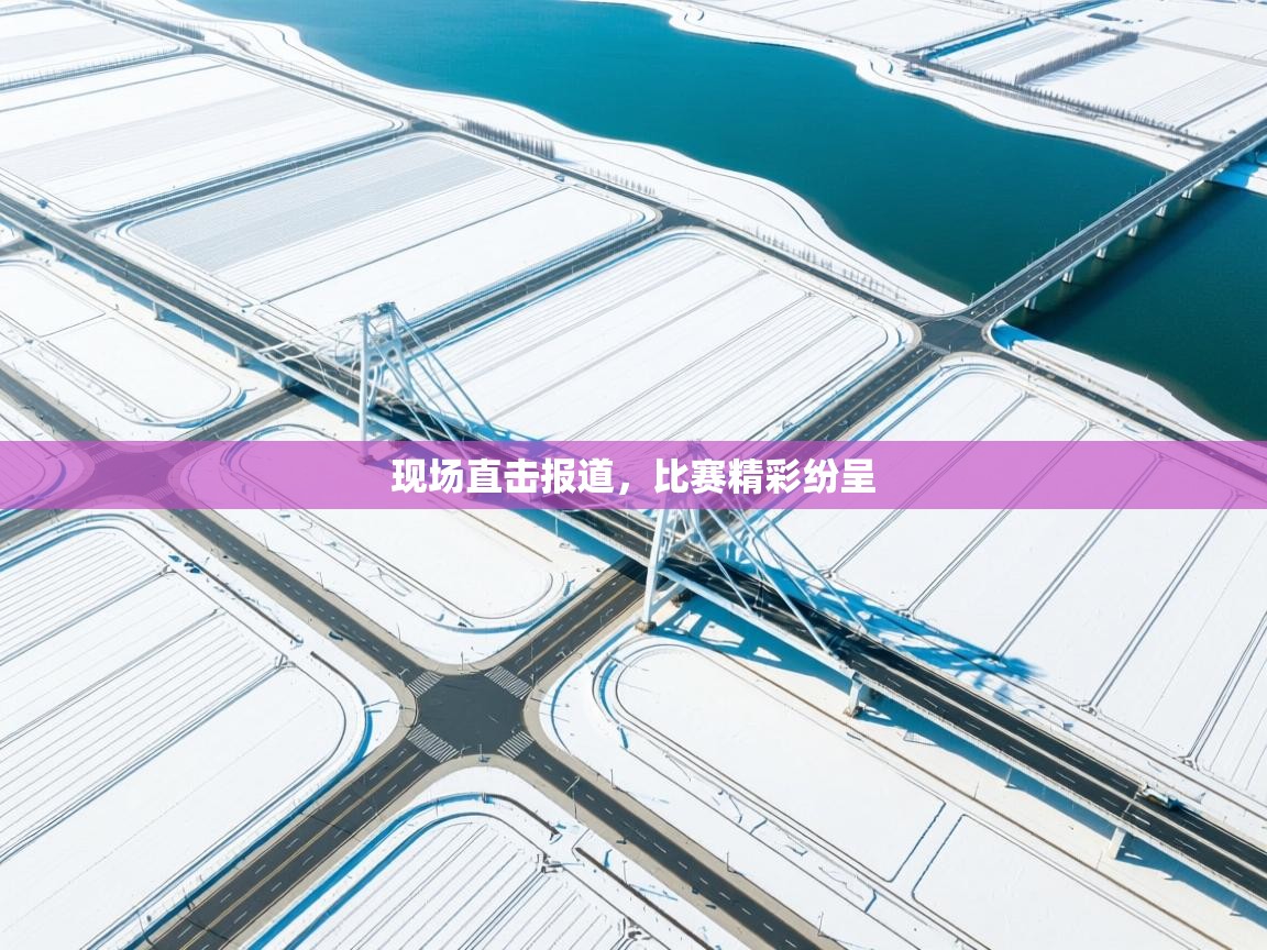 海星体育官方网站-现场直击报道,比赛精彩纷呈 第2张