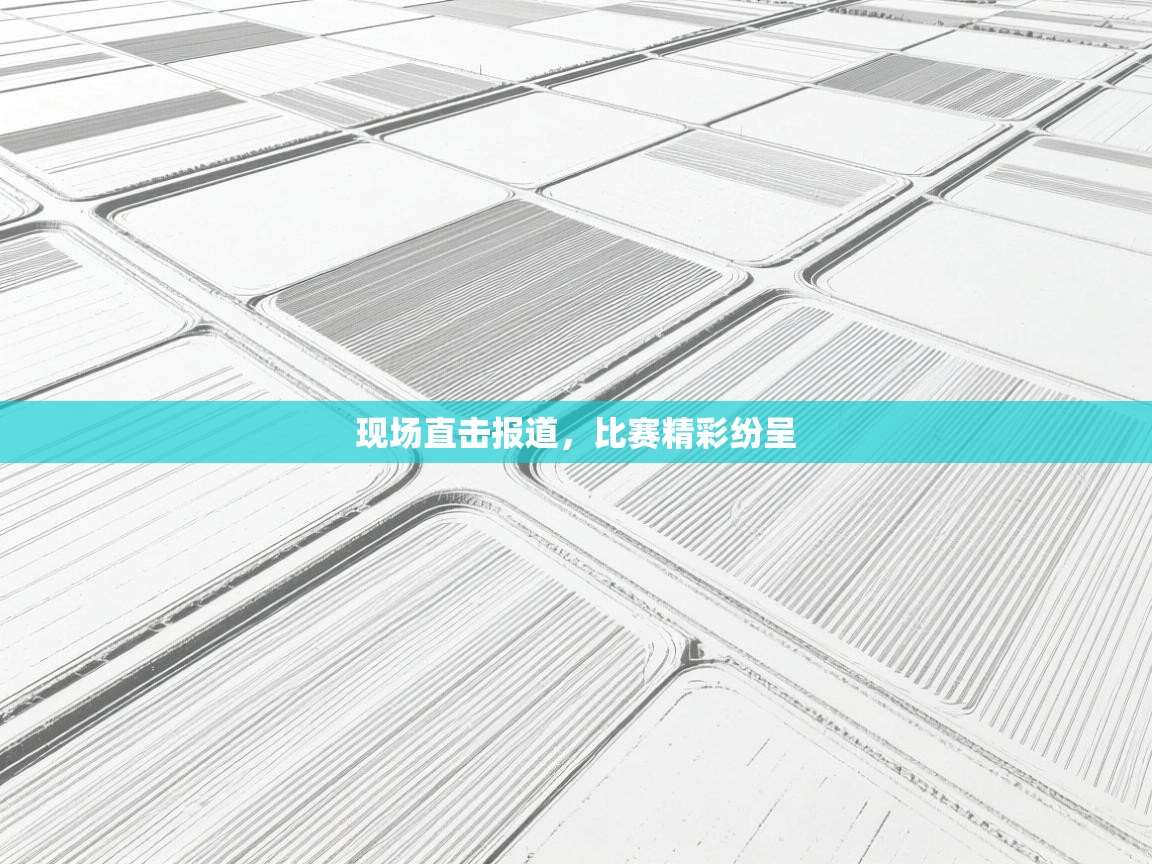 海星体育官方网站-现场直击报道,比赛精彩纷呈 第3张