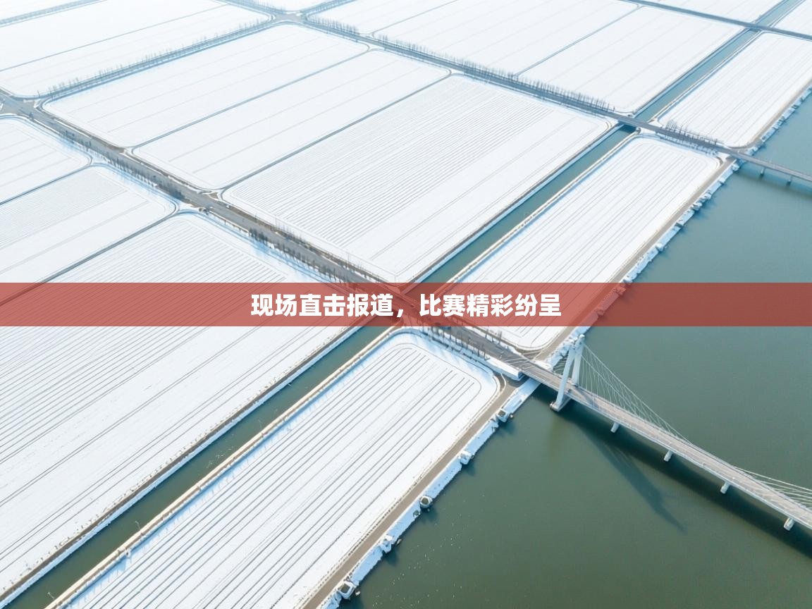 海星体育官方网站-现场直击报道,比赛精彩纷呈 第4张